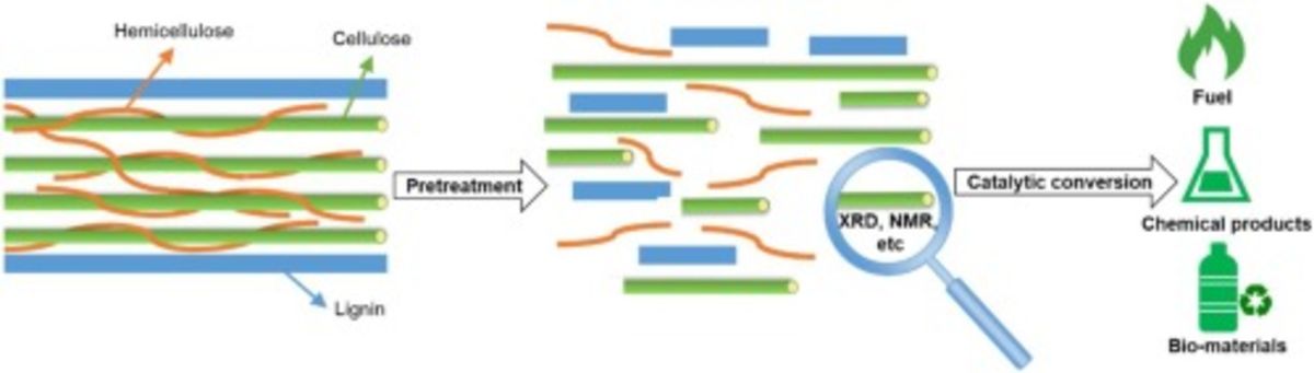 [52] The role of pretreatment in the catalytic valorization of cellulose