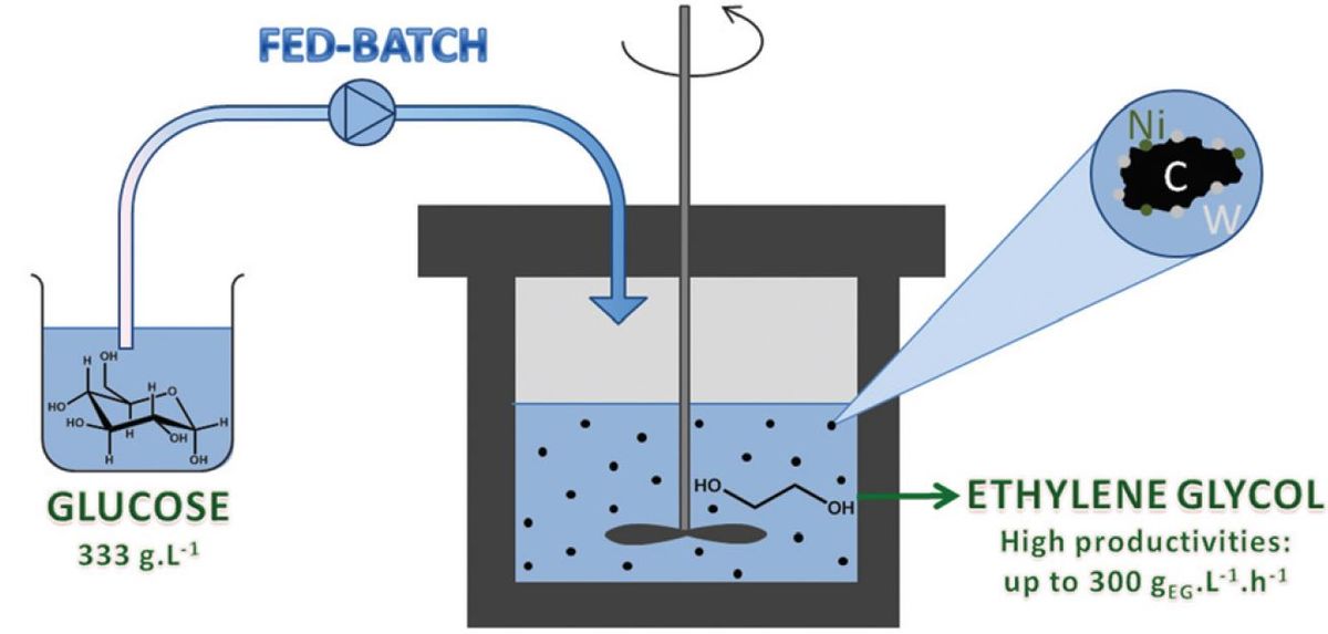 Conversion of Sugars to Ethylene Glycol with Nickel Tungsten Carbide in a Fed-Batch Reactor: High Productivity and Reaction Network Elucidation