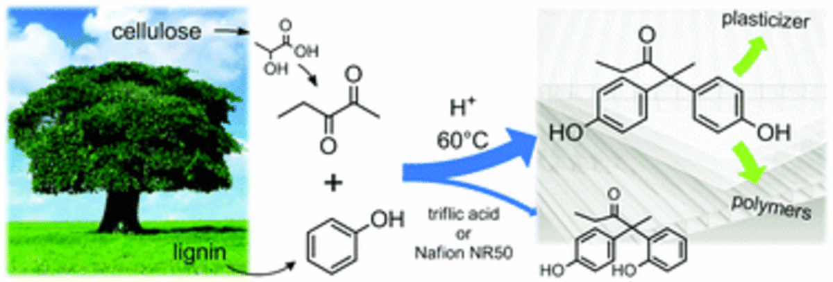 Regioselective synthesis of renewable bisphenols from 2,3-pentanedione and their application as plasticizers
