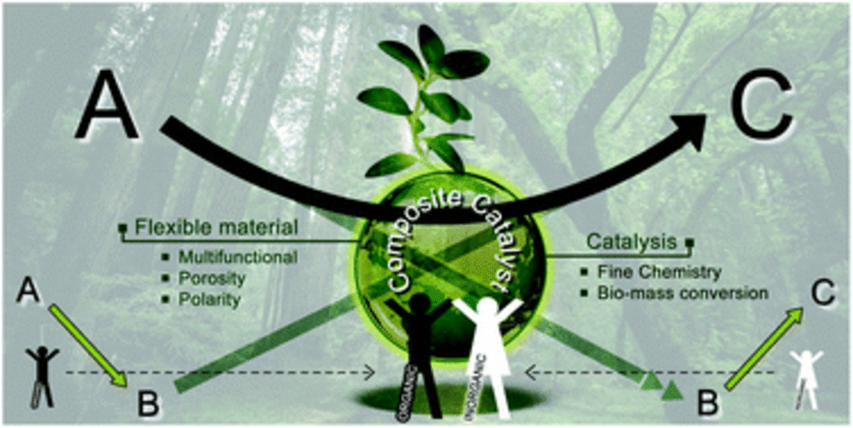 Tailoring nanohybrids and nanocomposites for catalytic applications