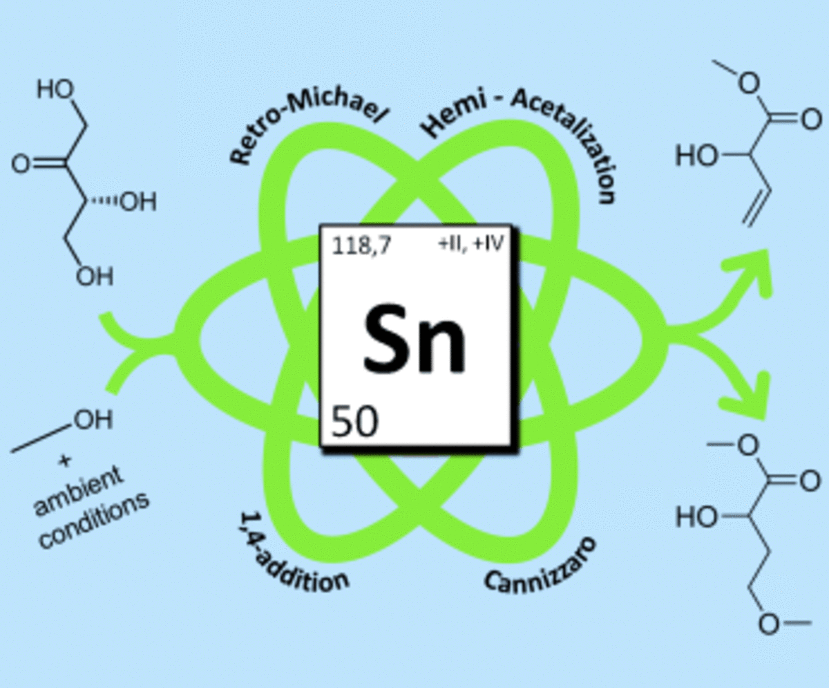 Mechanistic Insight into the Conversion of Tetrose Sugars to Novel α-Hydroxy Acid Platform Molecules.