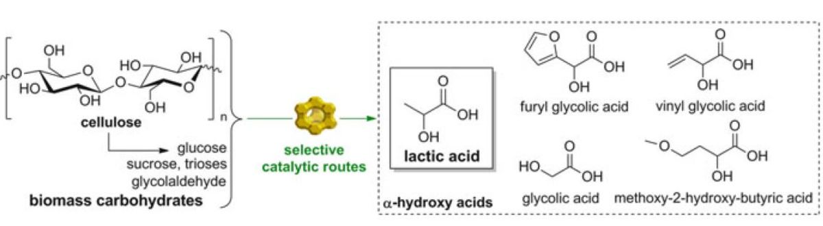 Selective catalysis for cellulose conversion to lactic acid and other α-hydroxy acids