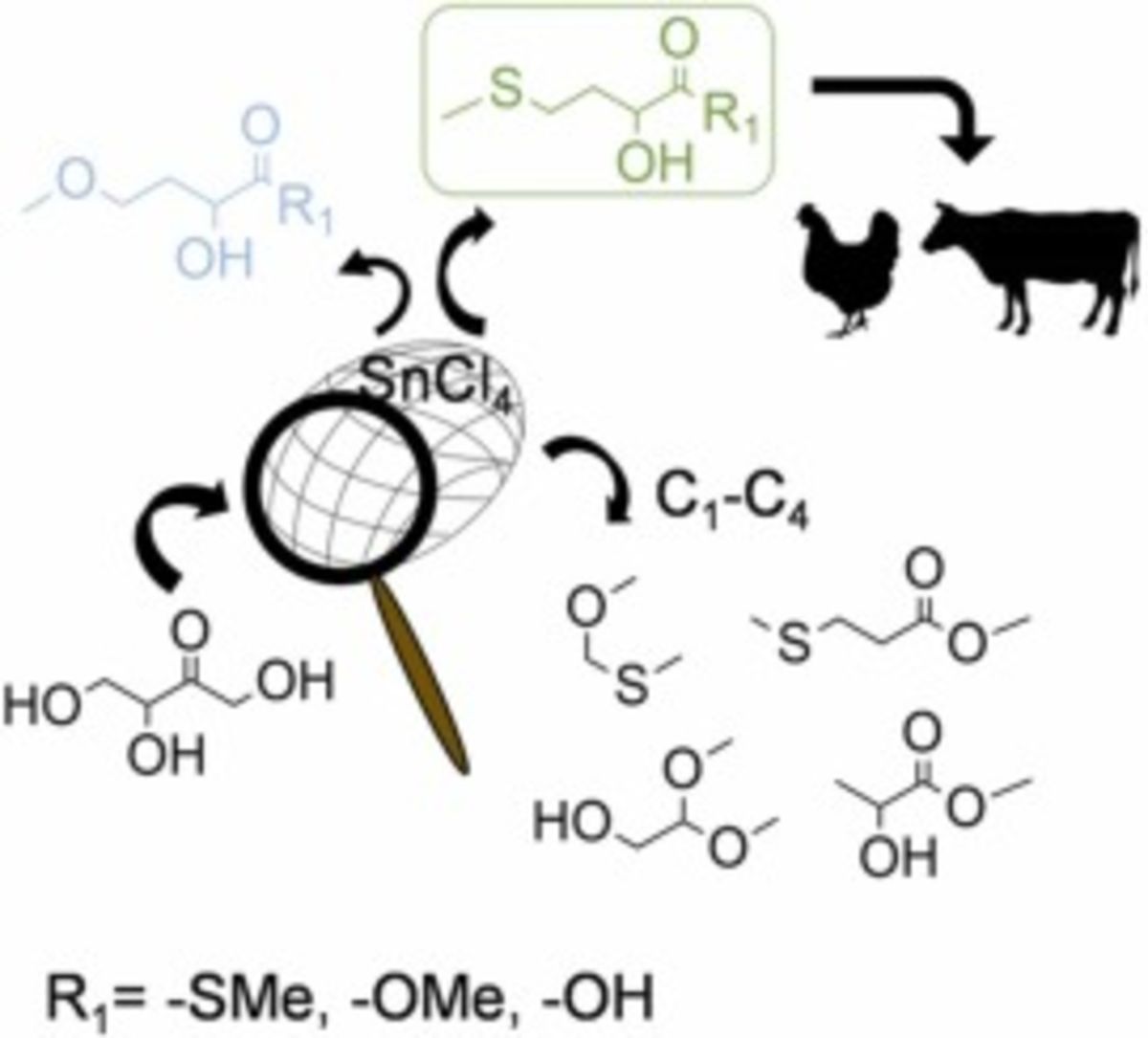 [79] From tetroses to methionine hydroxy analogues through Sn (IV) Lewis acid catalysis using methanethiol as sulphur feedstock