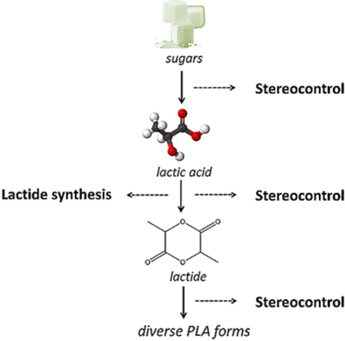 Lactide Synthesis and Chirality Control for Polylactic acid Production