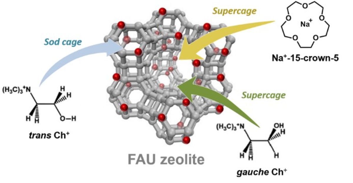 [60] A Cooperative OSDA Blueprint for Highly Siliceous Faujasite Zeolite Catalysts with Enhanced Acidity Accessibility