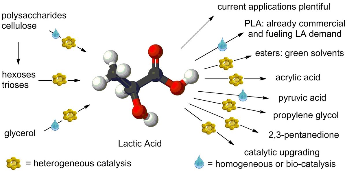 Lactic acid as a platform chemical in the biobased economy: the role of chemocatalysis.