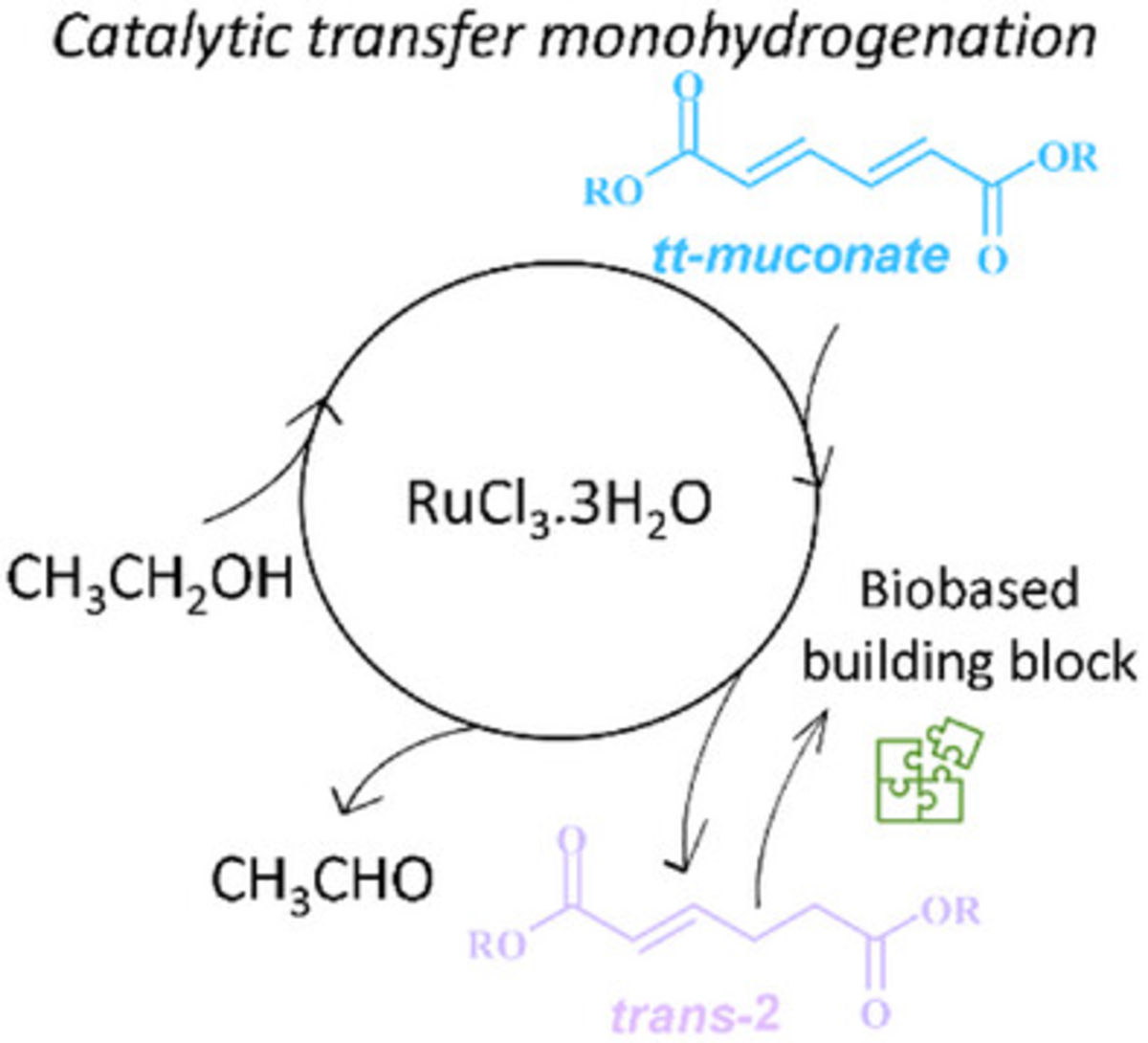 [106] Selective Homogeneous Monohydrogenation of Muconic Acid and Muconates via Ru-Catalyzed Transfer Hydrogenation